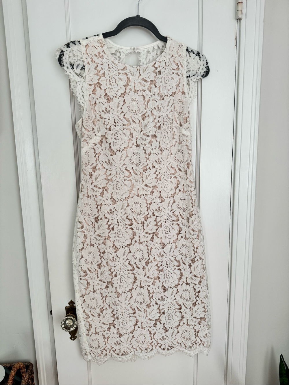 Vince Camuto Cream Lace Sheath Dress